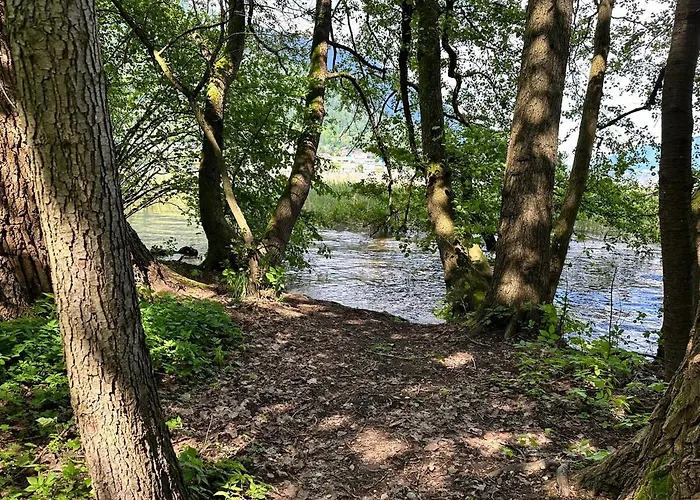 Domek alpejski Camp O Haus Am *